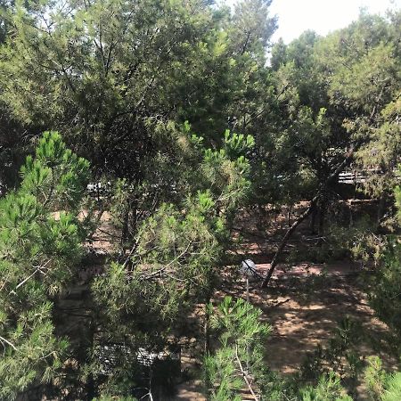 Appartamento Apartamento Con Terraza, Garaje Y Piscina A 350M Playa Garrucha Esterno foto